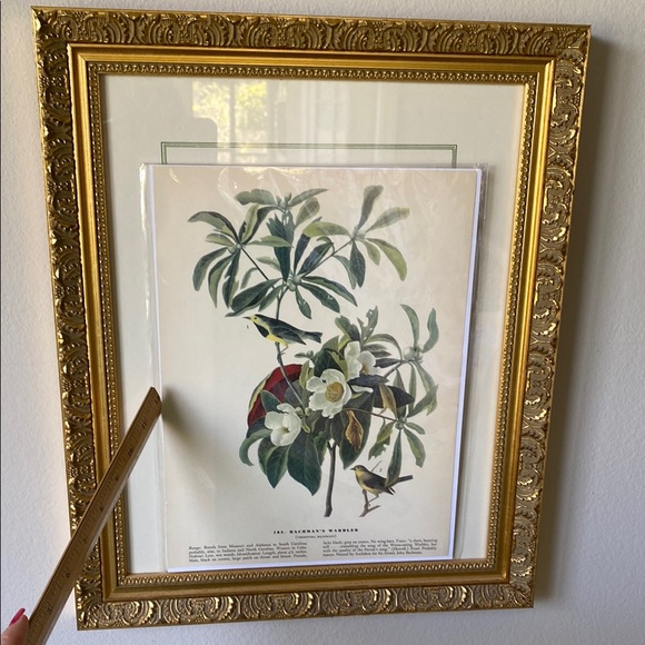 Vintage bird and Botanical Bird Print - Picture 1 of 5